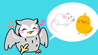 フクロウの餌