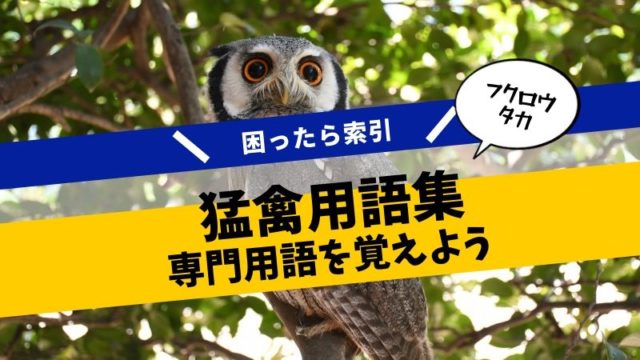 猛禽類に関する専門用語集【フクロウ・タカ】｜くるるの野望
